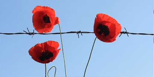 16 травня День пам’яті жертв політичних репресій