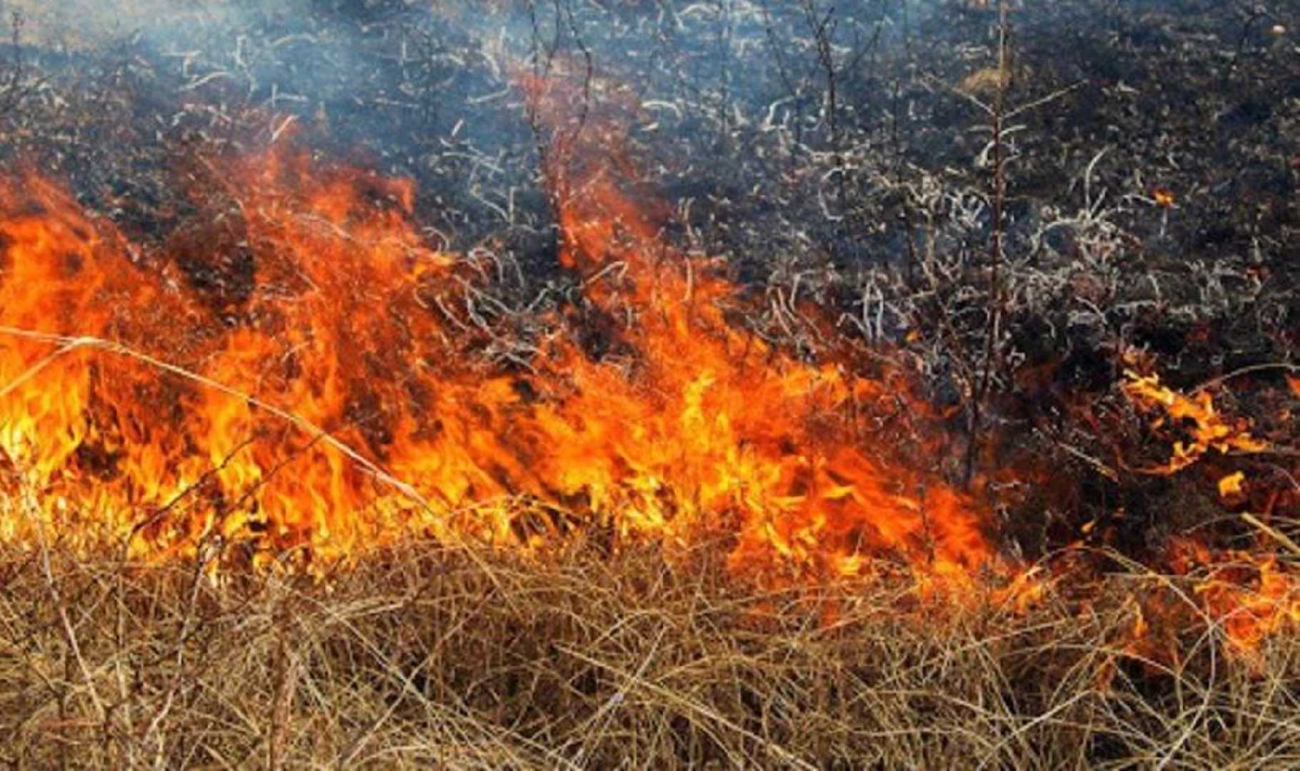 Рятувальники наголошують жителям про заборону спалювання сухої рослинності