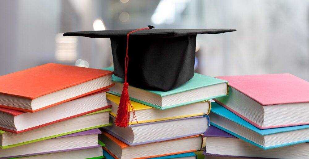 Семеро випускників Ліцею імені Тараса Городецького здобули найвищі бали на Національному мультипредметному тестуванні.