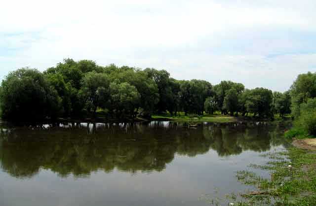 Правила загального користування водними об'єктами на адміністративній території Шептицької міської ради