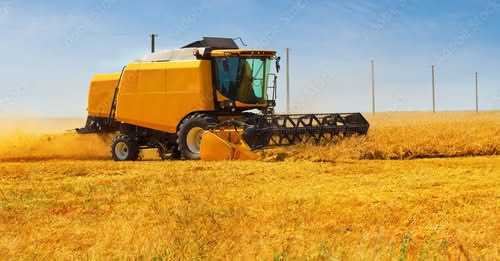 Державний аграрний реєстр: можливості для агровиробників Львівщини