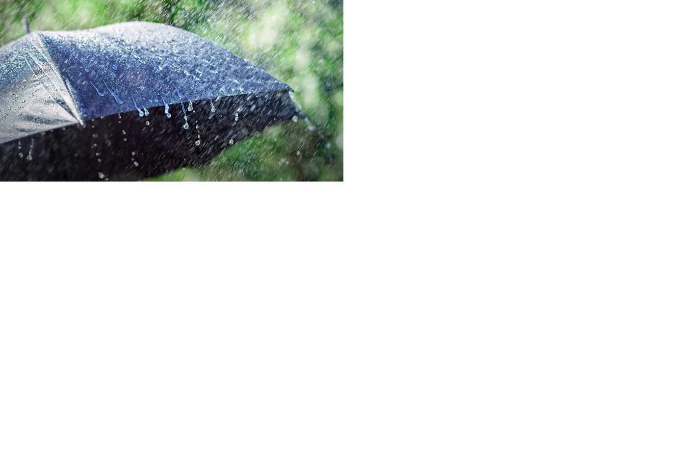 За повідомленням Львівського регіонального центру з гідрометеорології України: По території Львівської області: 28 липня грози, місцями шквали 15 – 20 м/с. Вночі подекуди значні дощі (15 – 49 мм, в селенебезпечних районах 15 –29 мм за 12 год і менше), вдень град (діаметр 6 – 19 мм). По місту Львову: 28 липня гроза, шквал 15 – 20 м/с, вдень град (діаметр 6 – 19 мм). (І рівень небезпечності, жовтий)