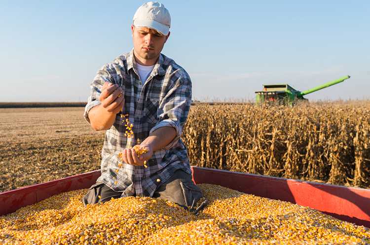 Аграріїв Львівщини запрошують на бізнес-зустріч