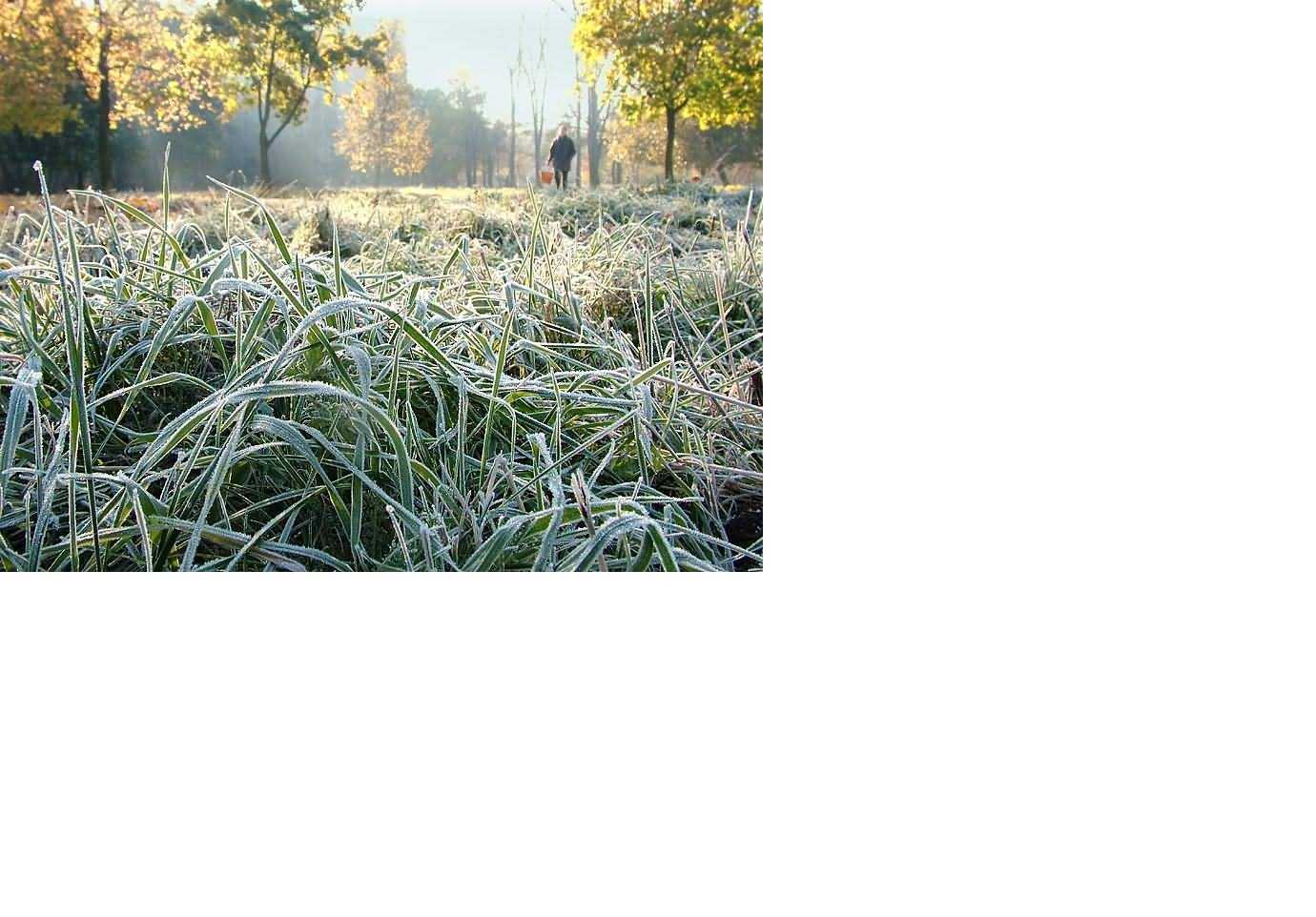 За повідомленням Львівського регіонального центру з гідрометеорології України:
По території Львівської області: 27 вересня вночі та вранці сильний
заморозок в повітрі 0 – 5°. (ІІ рівень небезпечності, помаранчевий)
