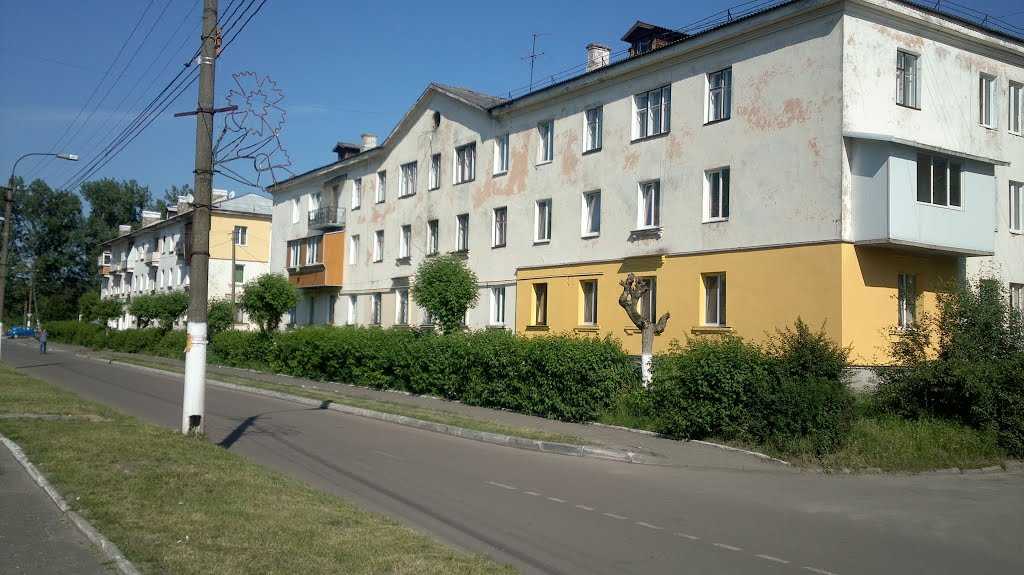 Новим управителем багатоквартирних будинків у Соснівці призначено ТзОВ «Нова Долина»