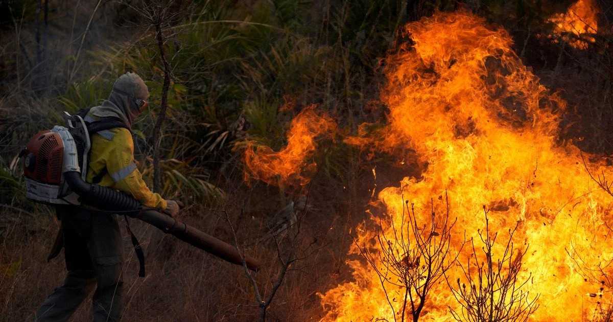 За підпал сухої трави - штраф.